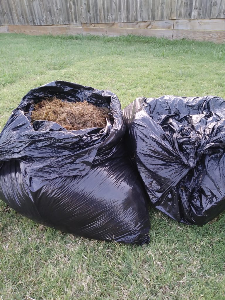 bagging lawn clippings